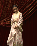 Phulkari Embroidery Dupatta