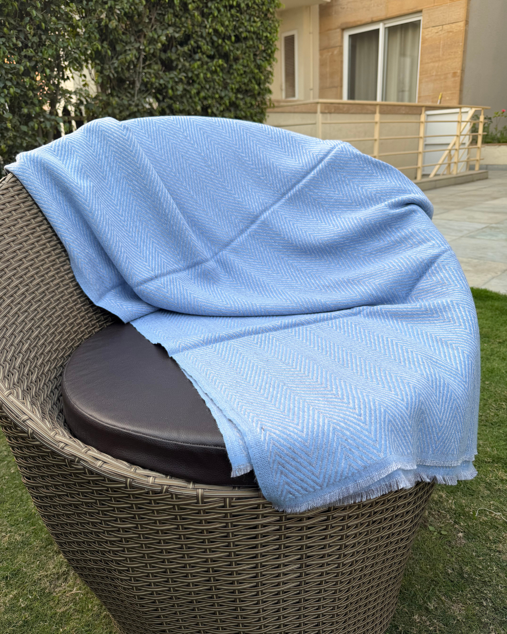 Karivani Blanket Box