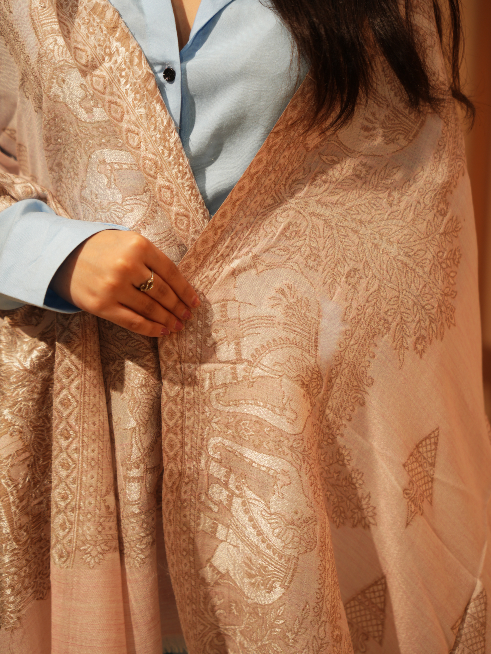 Karivani Women's Faux Pashmina Stole - Elephant Satin Motif Border