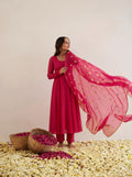 Zari Embroidered Dupatta