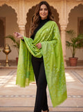 Cotton Jacquard Stole - Green